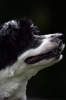 RaeFace-Jun08-03.jpg