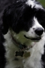 RaeFace-Jun08-10.jpg