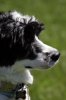 RaeFace-Jun08-14.jpg
