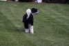 RaeStanding-Jun08-01.jpg
